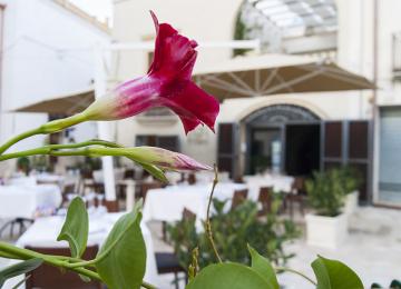 Dadario Ristorante